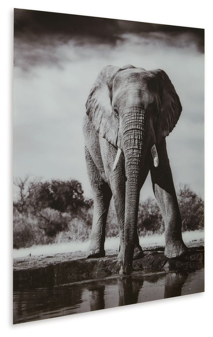 Glinyard - Black / White - Wall Art - Image 2