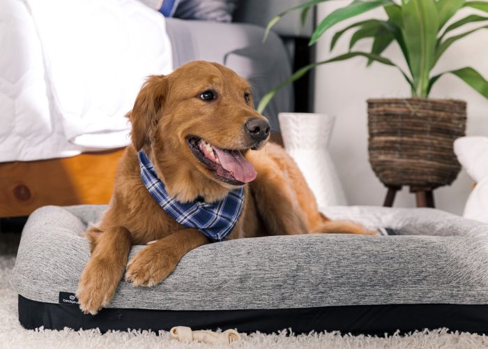 Performance - X-Large Dog Bed - Gray - Image 2
