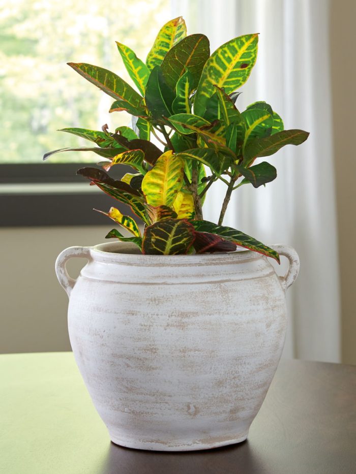 Meadie - 9" Vase - Image 9