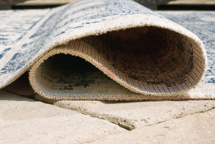 Daddridge - Rug - Image 4