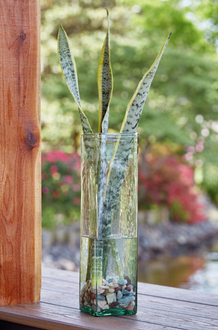 Taylow - Vase - Image 2