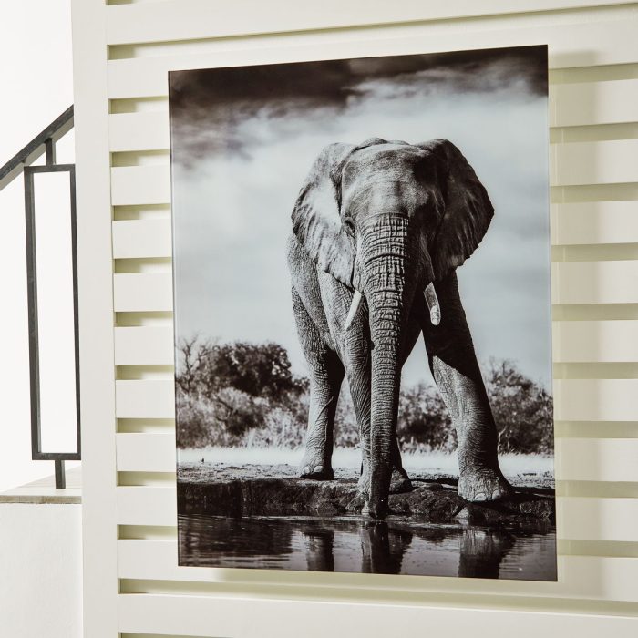 Glinyard - Black / White - Wall Art - Image 3