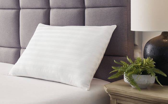 Zephyr 2.0 - Cotton Pillow - Image 3
