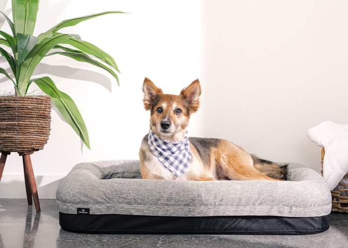 Performance - Small Dog Bed - Gray - Image 4