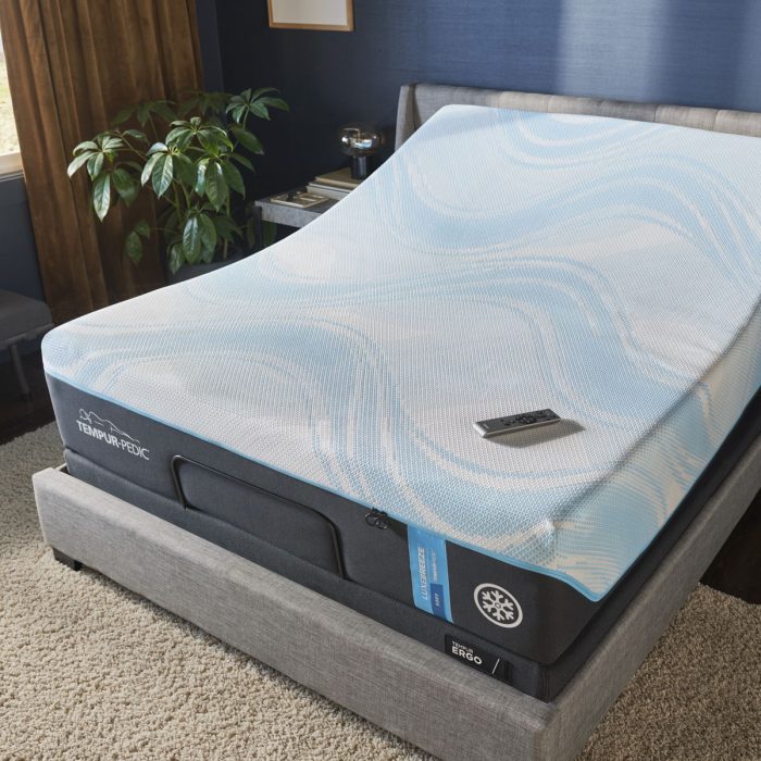 Tempur-Ergo - Adjustable Base - Image 2