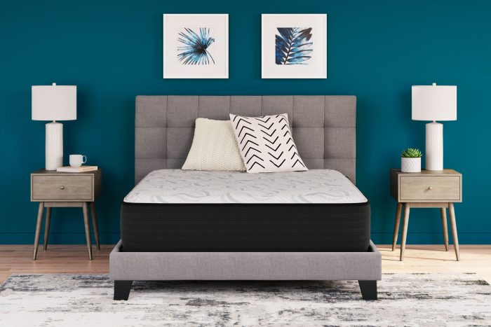 Elite Springs Firm - Mattress - Image 2