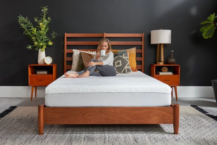 Tempur-Pedic Mattress Protector - Image 4