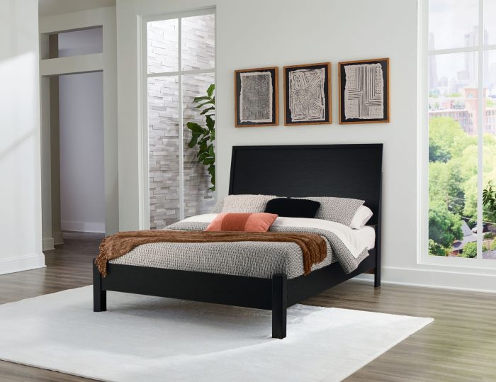 Danziar - Panel Bed With Low Footboard - Image 7