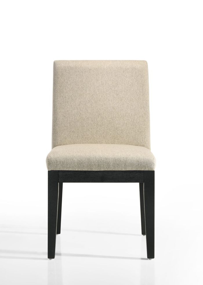 Jasper - Contemporary Fabric 19" Dining Chair (Set of 2) - Image 4