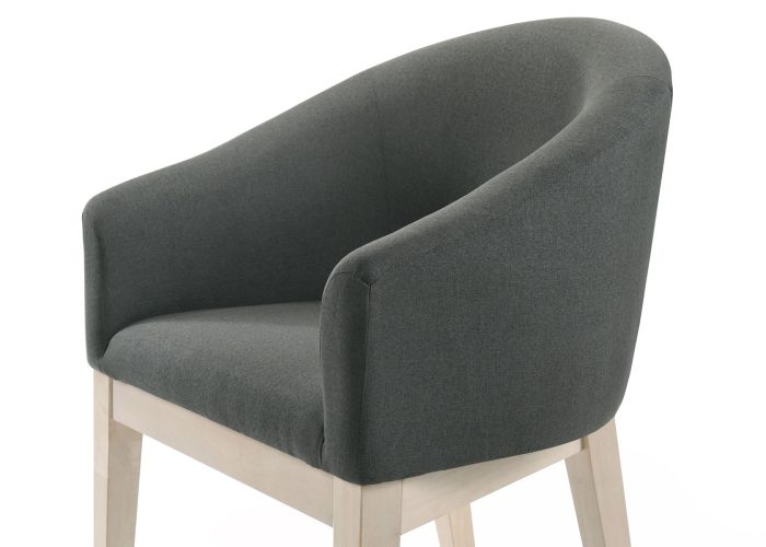 Neroli - Fabric Barrel Accent Chair (Set of 2) - Gray - Image 2