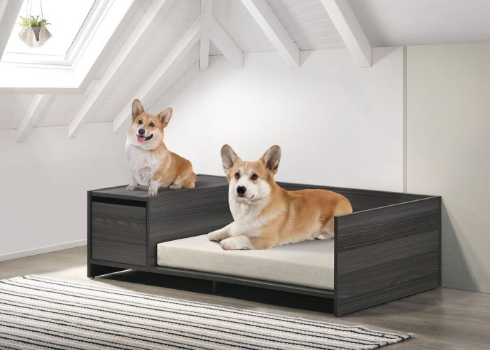 Esme - Wide Modern Comfy Pet Bed With Cushion And Side Storage Compartment - Ash Gray - Image 2